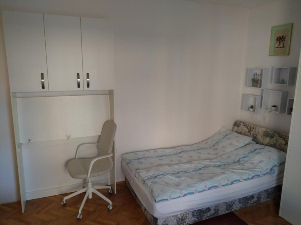 Apartma Ladinka 伊佐拉 外观 照片