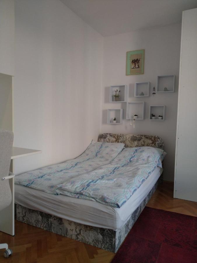 Apartma Ladinka 伊佐拉 外观 照片